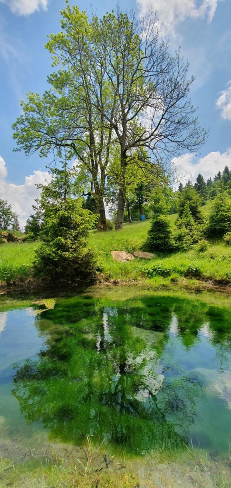 Chata Zieleniecka Duszniki Zdrój Buitenkant foto