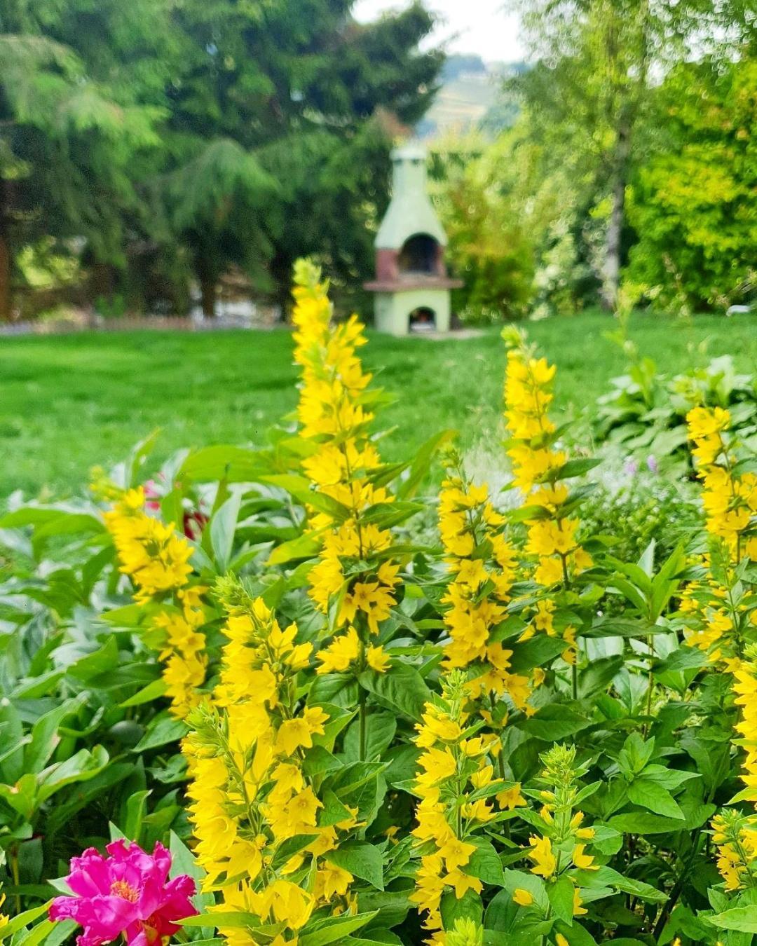 Chata Zieleniecka Bed and Breakfast Duszniki Zdrój Buitenkant foto